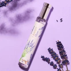 New Adopt Lavande Cherie