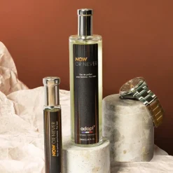 Sale Adopt Maintenant Ou Jamais