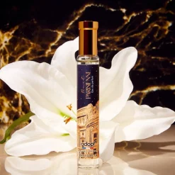 Discount Adopt Nuit Parisienne