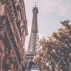 New Adopt Paris Reverie