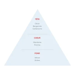 Discount Adopt Sport Urbain