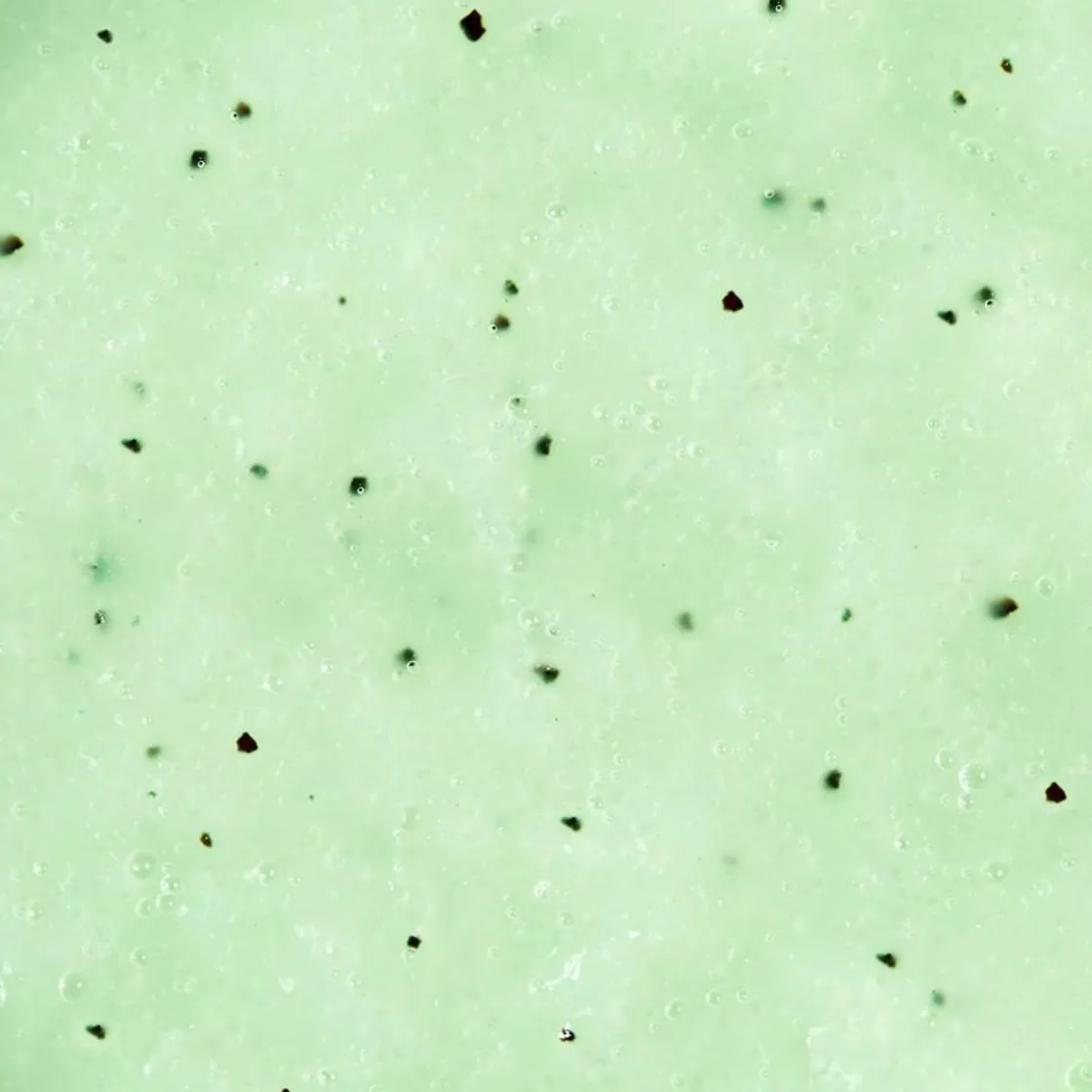 Outlet Adopt Verveine Petillante